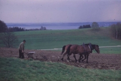 D_Hechenwanger_Gschicht_02_G_07