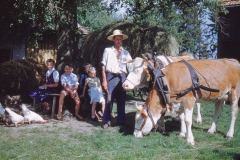 D_Hechenwanger_Gschicht_02_G_08