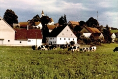 D_Windacher_Gschicht_03_G_06